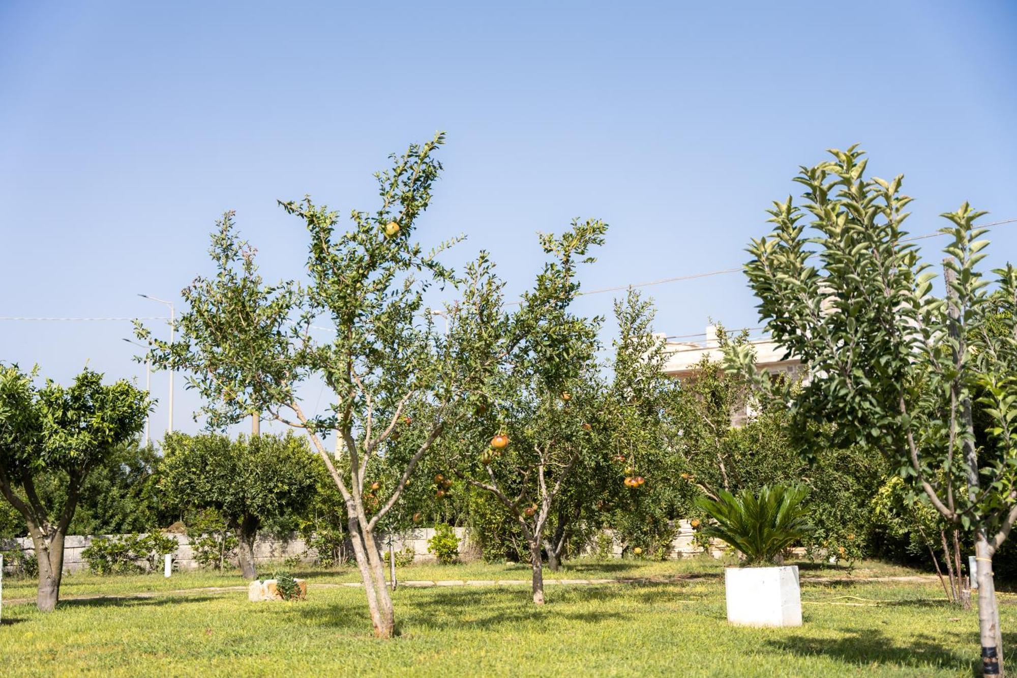 Murieri Rooms Otranto Kültér fotó